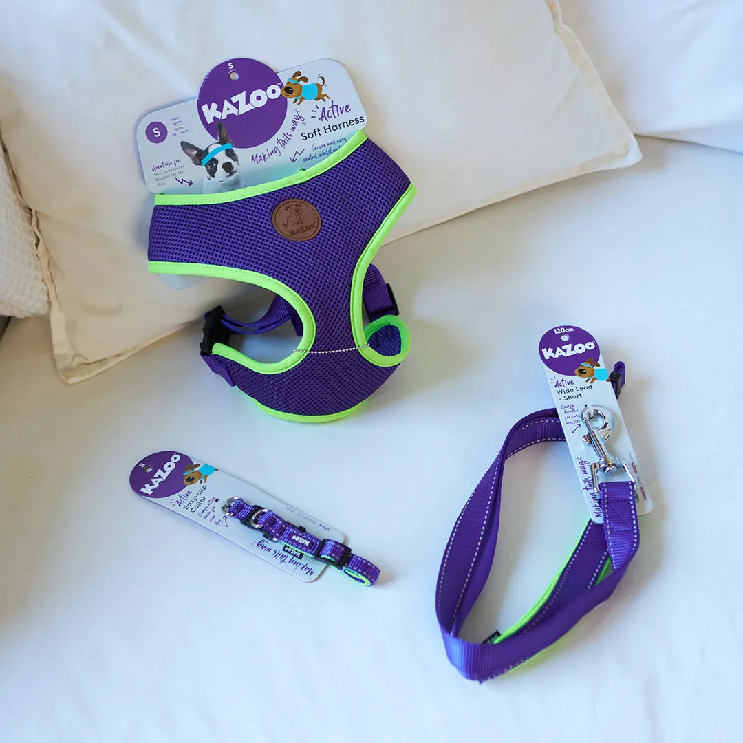Active Easy-clip Dog Collar - Purple & Lime