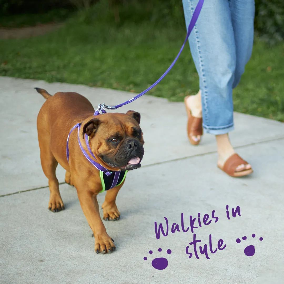 Active Easy-clip Dog Collar - Purple & Lime
