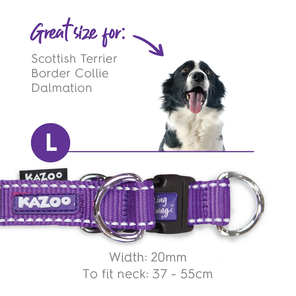 Active Easy-clip Dog Collar - Purple & Lime