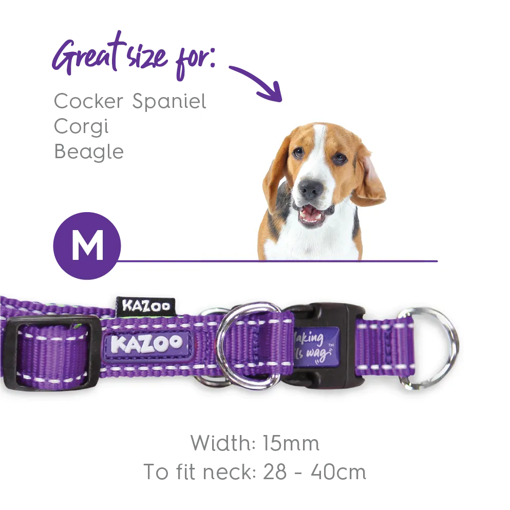 Active Easy-clip Dog Collar - Purple & Lime