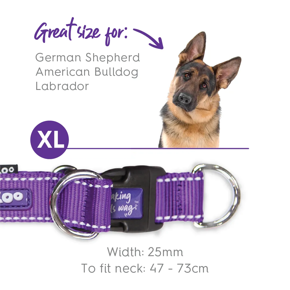 Active Easy-clip Dog Collar - Purple & Lime