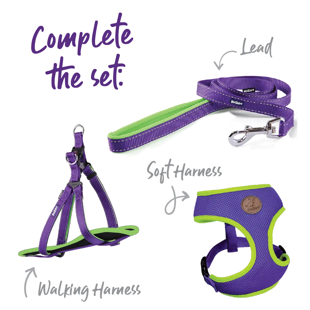Active Easy-clip Dog Collar - Purple & Lime