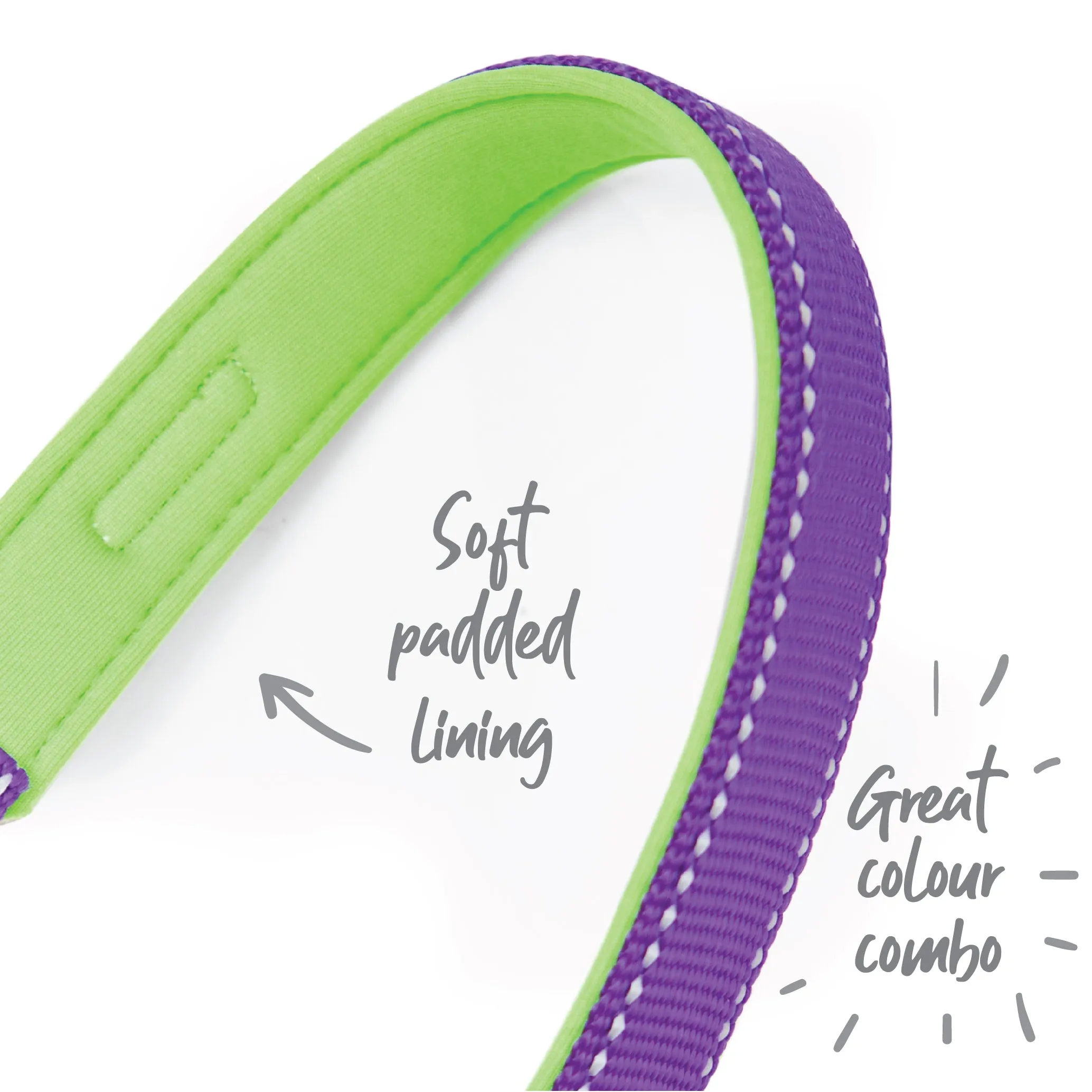 Active Easy-clip Dog Collar - Purple & Lime