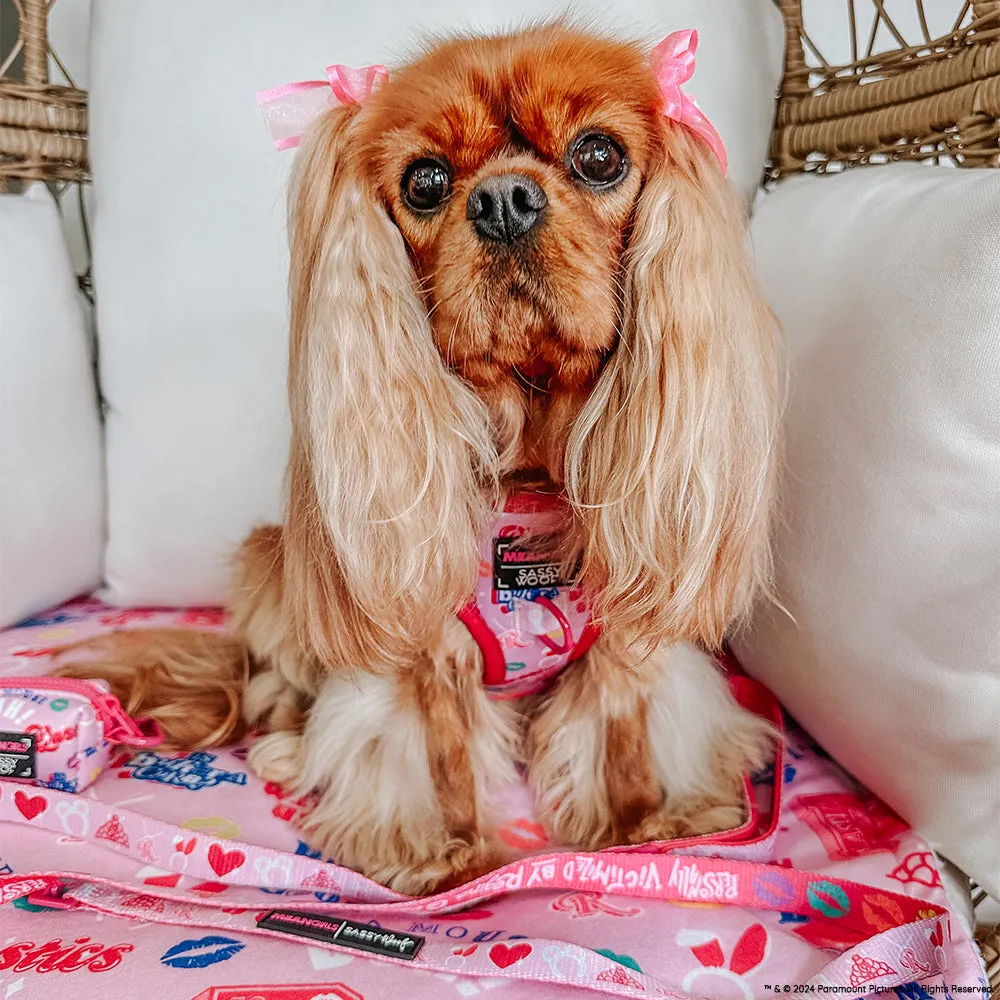 Dog Blanket - Mean Girls™