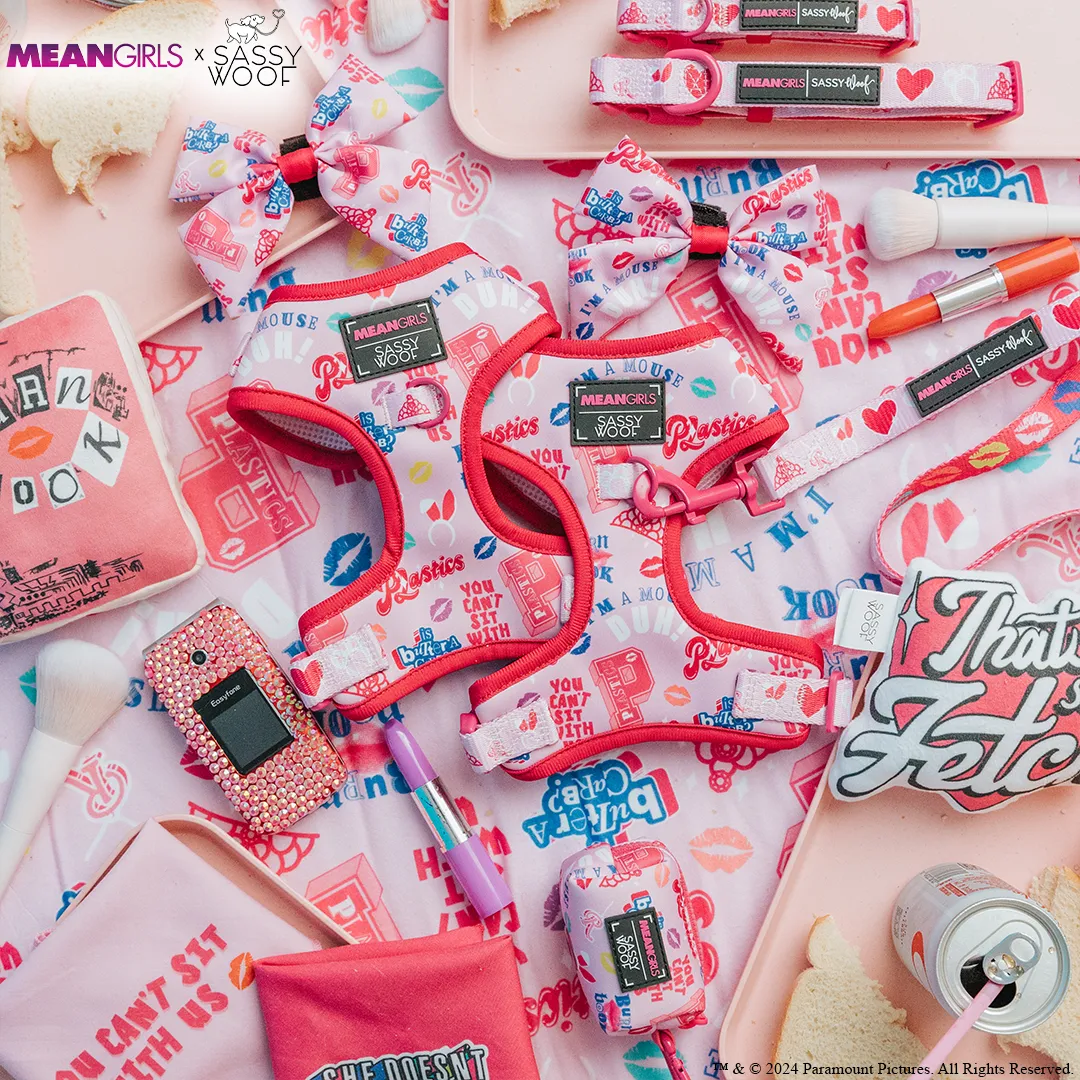 Dog Blanket - Mean Girls™