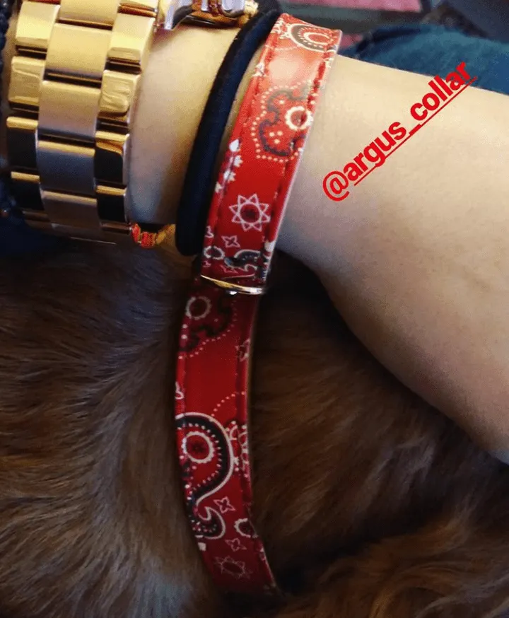 "Bandana" Collar & Bracelet