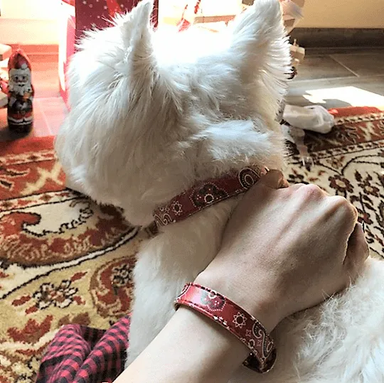"Bandana" Collar & Bracelet